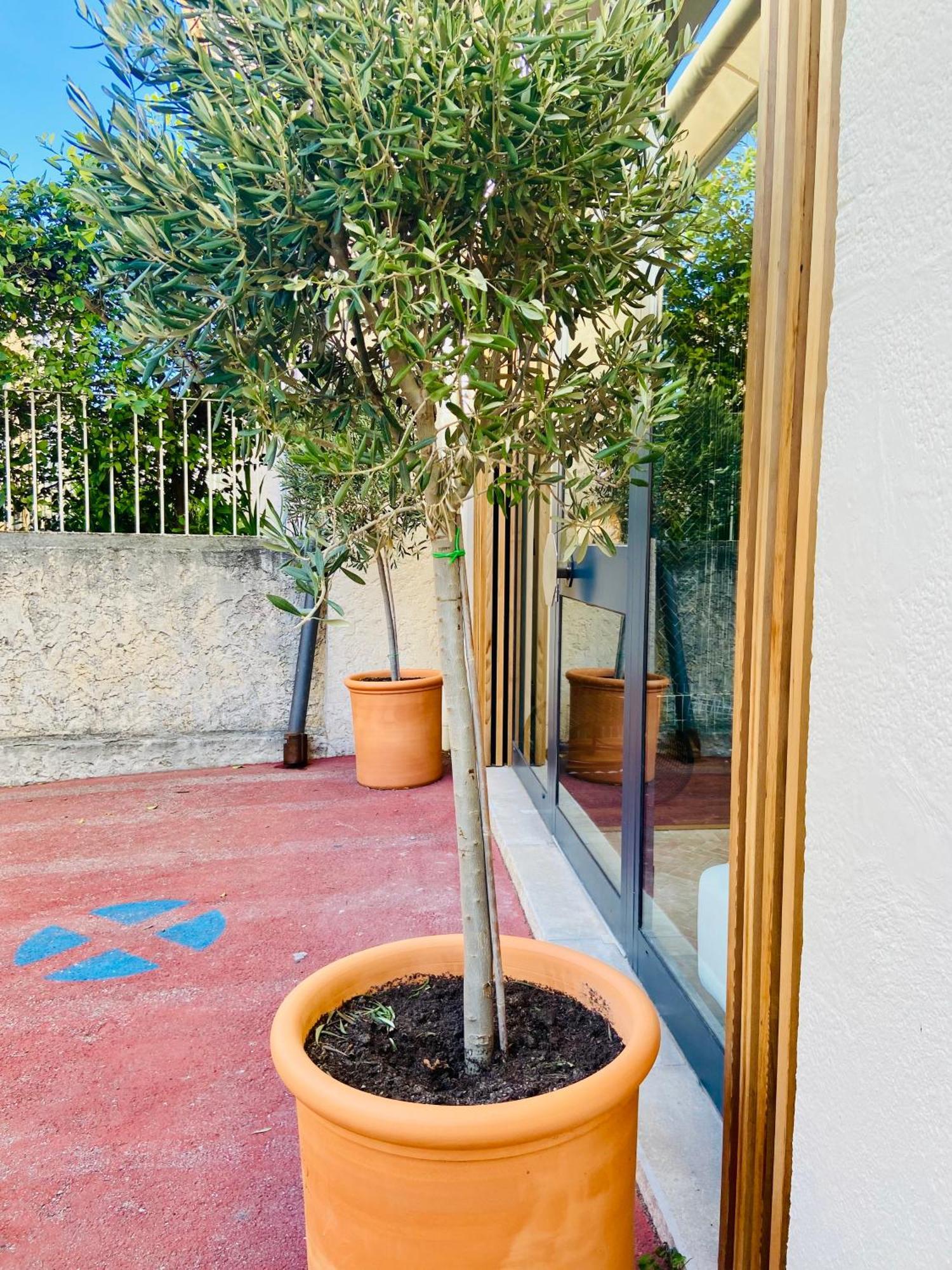 Cassis Grande Terrasse Emplacement Au Top A 1 Minute De La Plage A Pieds المظهر الخارجي الصورة